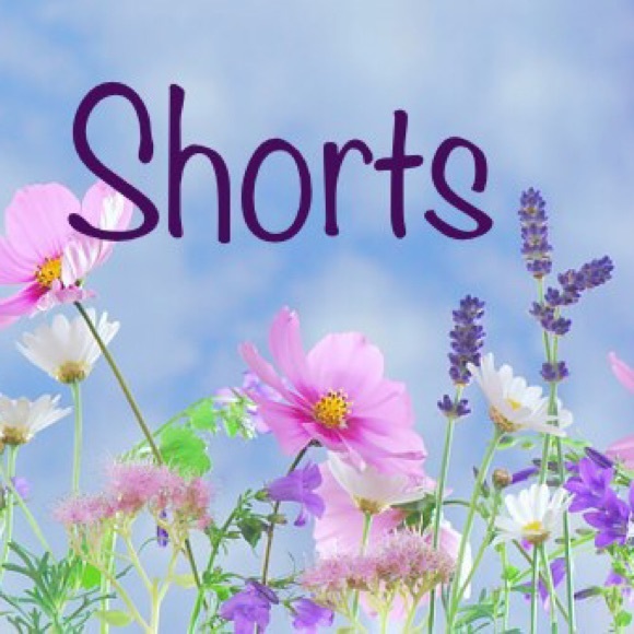 Shorts - Picture 1 of 1